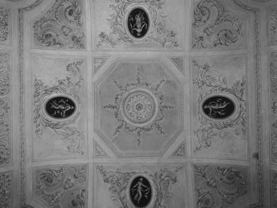 Palazzo Terzi - old photo - Ceiling