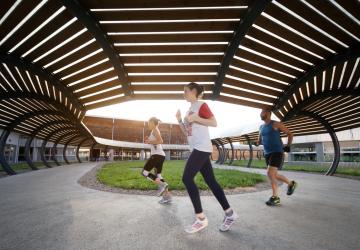 Sport
