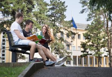 Global Perspective of Public and Private Sector Interaction